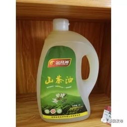 新田縣農產品電商零售額突破八千萬，食用農產品零售領跑市場